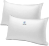 12x24 Standard Home Decorative Pillow Insert