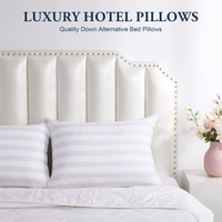 //imrorwxhikqilo5q-static.micyjz.com/cloud/liBpjKplliSRjljplljoiq/hotel-bed-pillow3.jpg