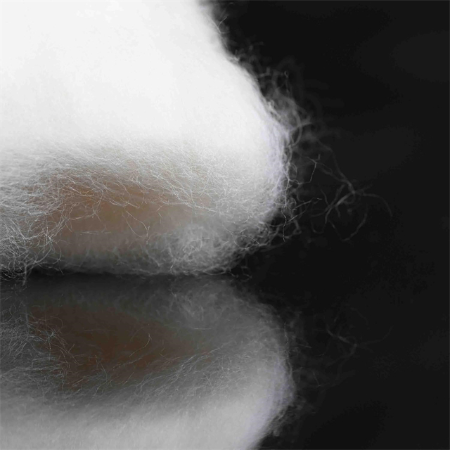 pure cotton fiber