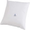 Small Comfortable Shop Decorative Pillow Insert