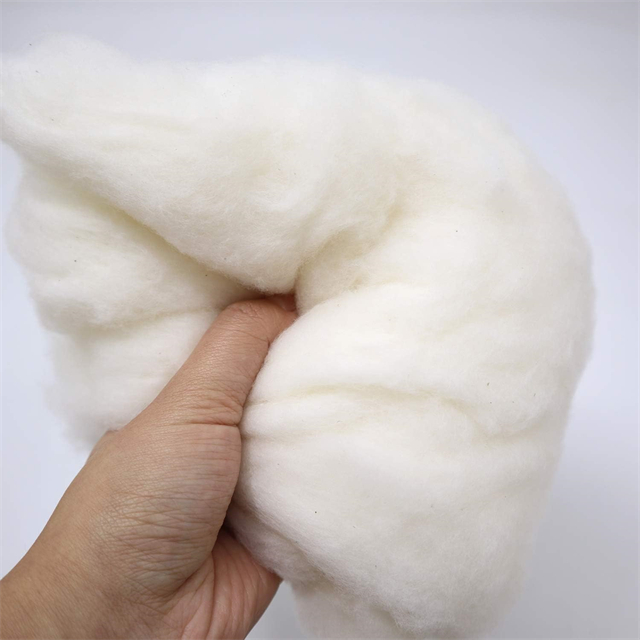 cotton fiber 21