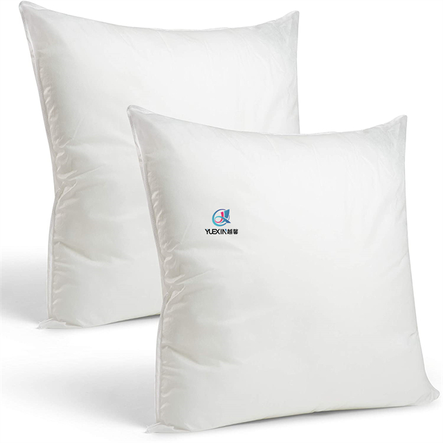 Small Comfortable Shop Decorative Pillow Insert