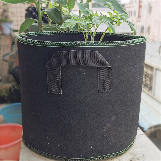 Plant grow bags13