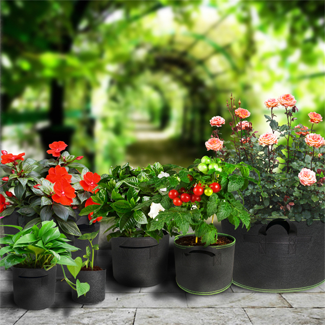 Plant grow bags8