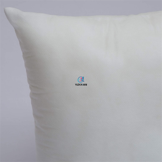 Small Comfortable Shop Decorative Pillow Insert