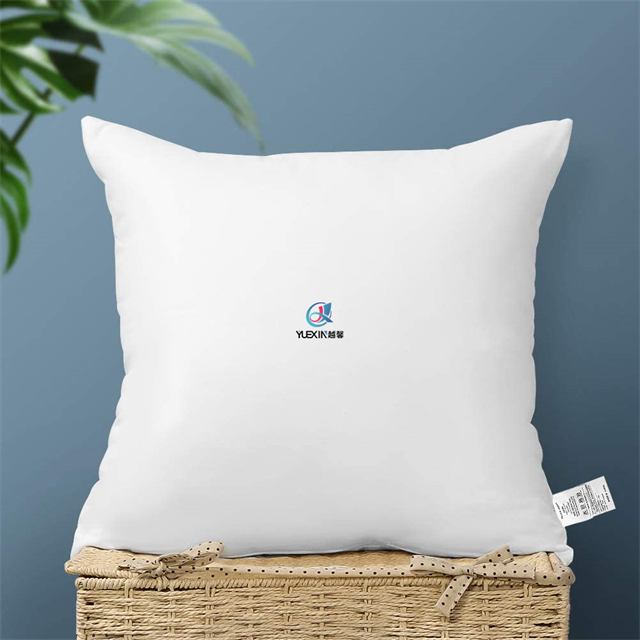 20x20 Print Hotel Pillow Insert