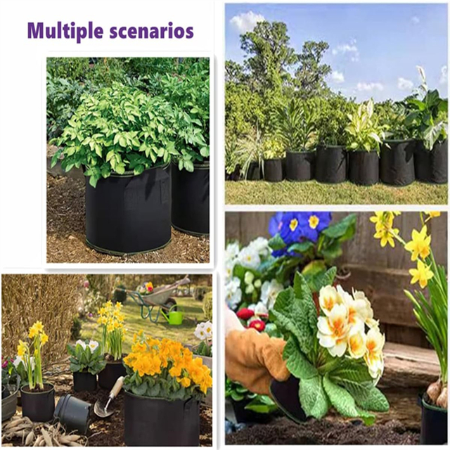 Plant grow bags3