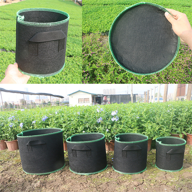 Customized Durable Grow Bags with Various Vegetable Plants for Optimal Growth