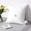 22x22 Supportive Beding Pillow Insert