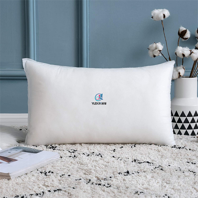 Small Comfortable Shop Decorative Pillow Insert