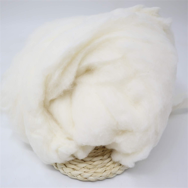 cotton20