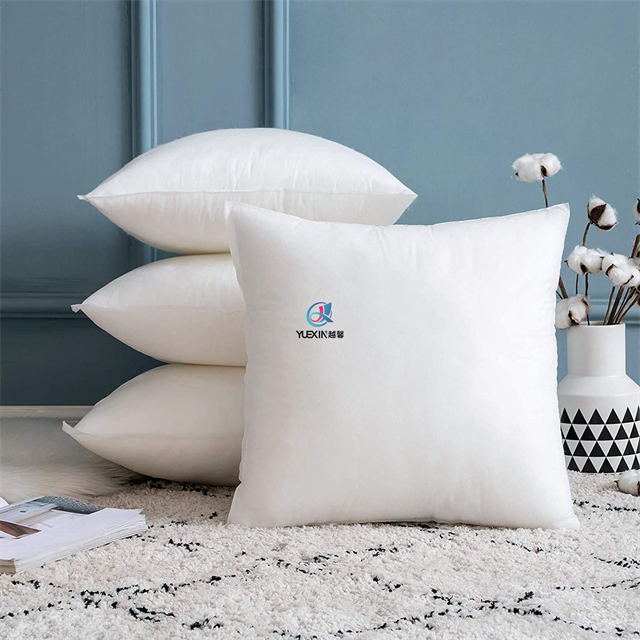 Small Comfortable Shop Decorative Pillow Insert