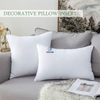 Small SizeShop Decorative Pillow Insert